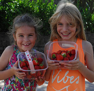 Two girls show off their haul of strawberries